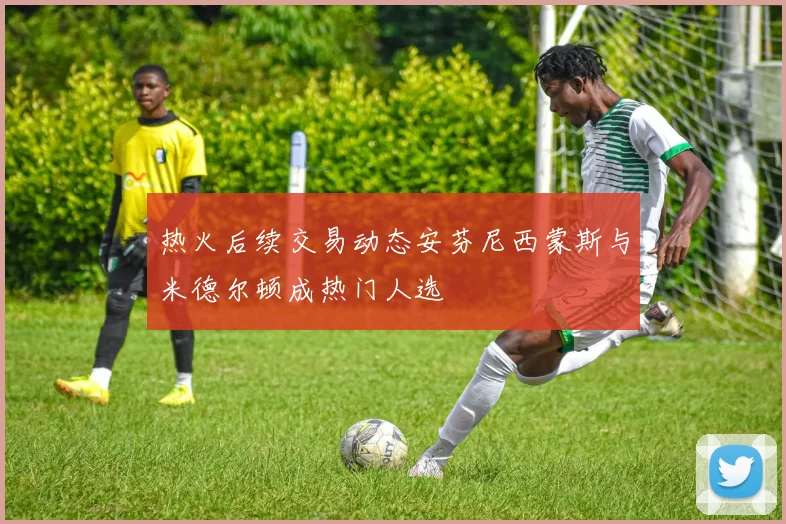 热火后续交易动态安芬尼西蒙斯与米德尔顿成热门人选