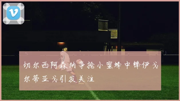 切尔西阿森纳争抢小蜜蜂中锋伊戈尔蒂亚戈引发关注